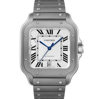 卡地亚 Cartier SANTOS DE CARTIER系列 WSSA0089 机械