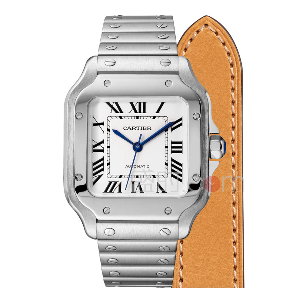 卡地亚 Cartier SANTOS DE CARTIER系列 WSSA0010 机械 中性款