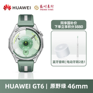 华为 WATCH GT 6 运动健康 智能手表46mm 原野绿 绿色复合编织表带