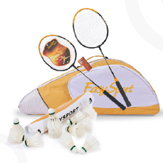 易威斯堡高级羽毛球拍套装+鹅毛耐打王羽毛球（12个） 豪华羽毛球套装F