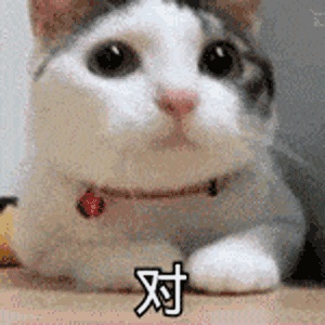 test11223344