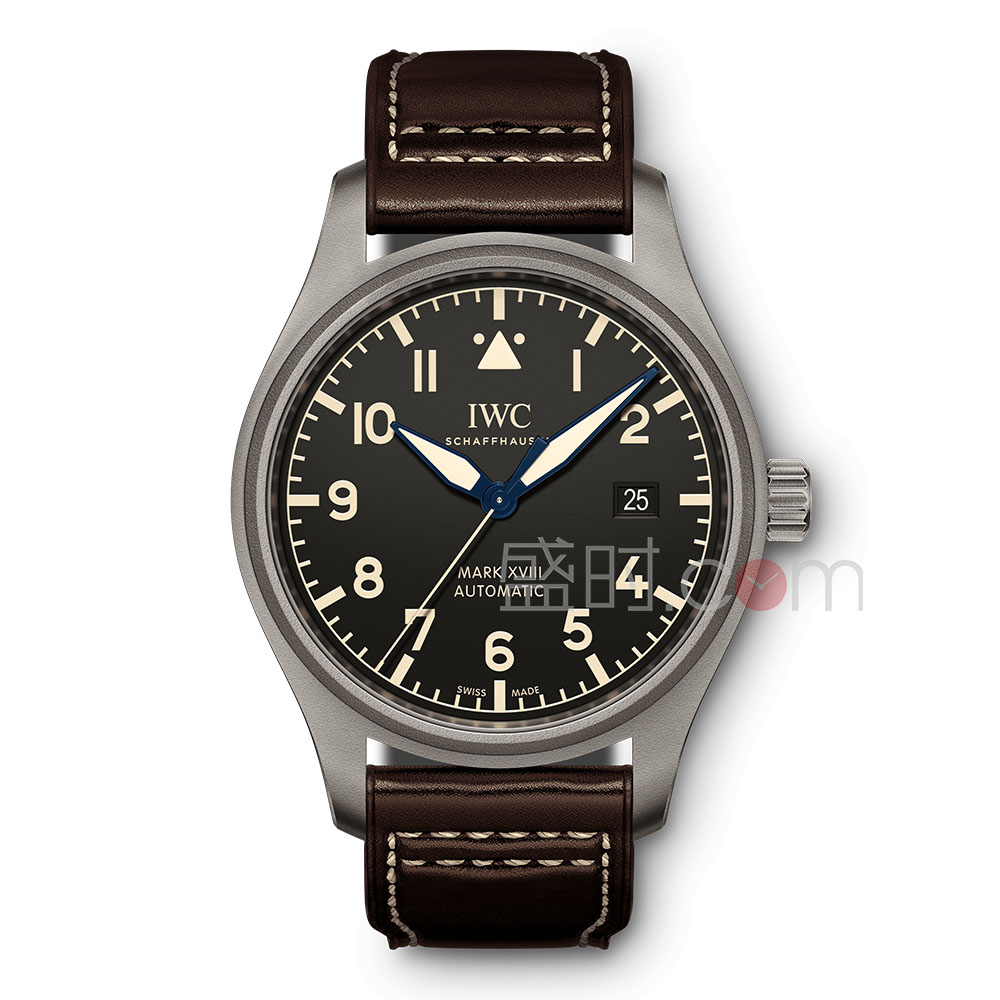 万国 IWC 飞行员系列 IW327006 机械 男款