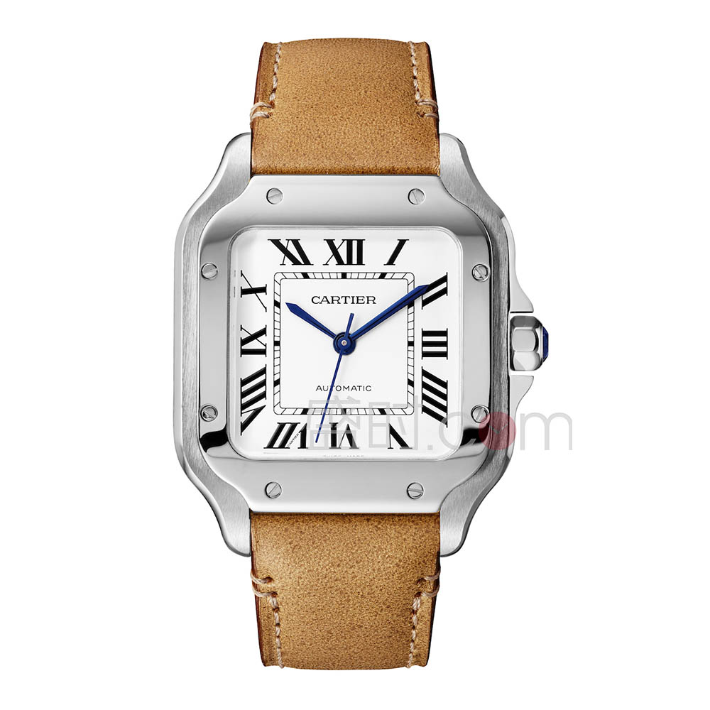 卡地亚 Cartier SANTOS DE CARTIER系列 WSSA0010 机械 中性款