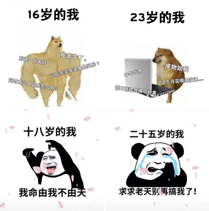 盛时表行官方商城